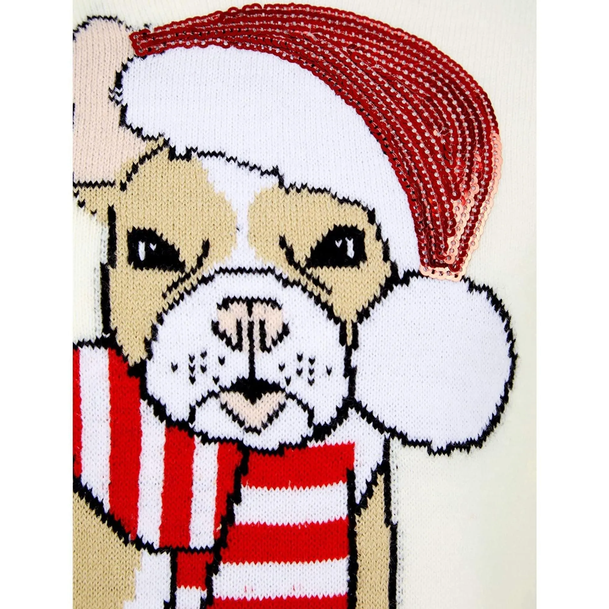 Christmas Santa Dog Junior Christmas Jumper - Cream