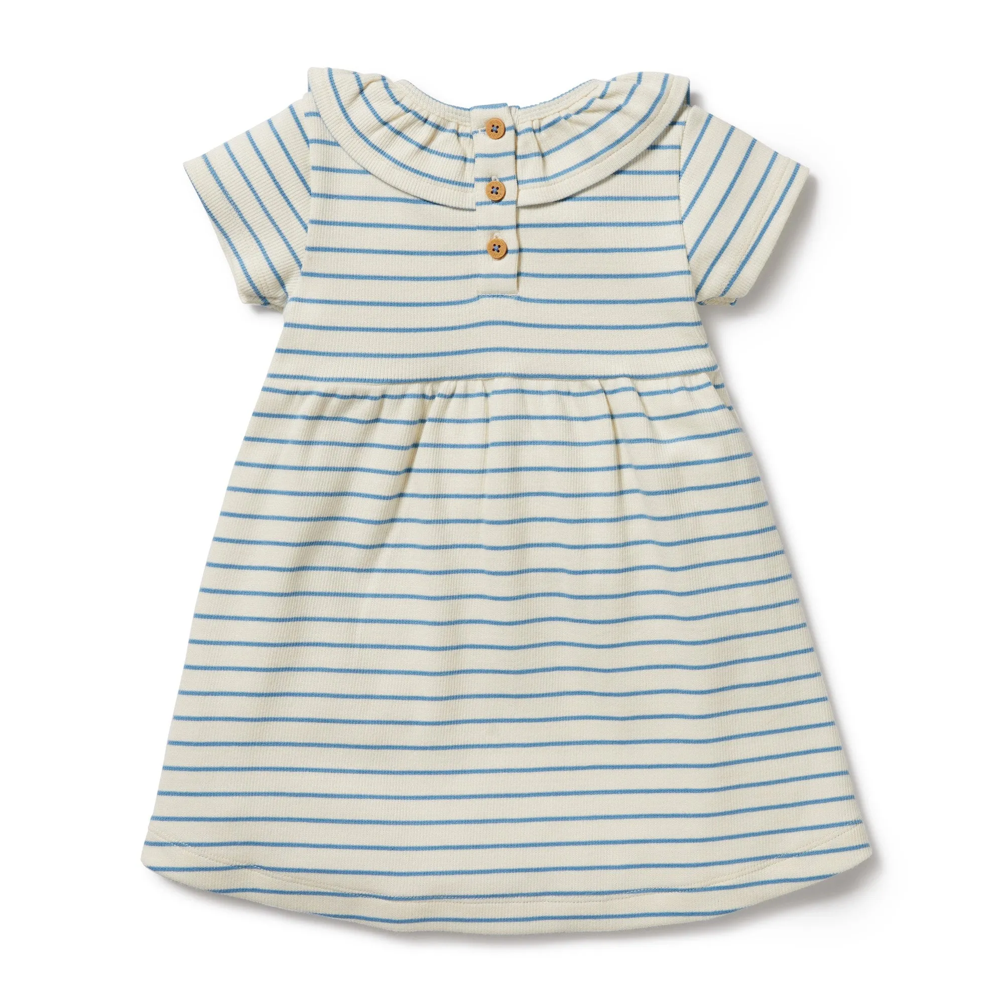 Organic Ruffle Dress - Petit Blue